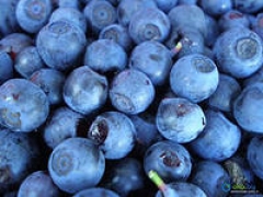 АКВАНАТ Кармин 0020